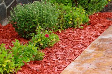 Planting & Mulching