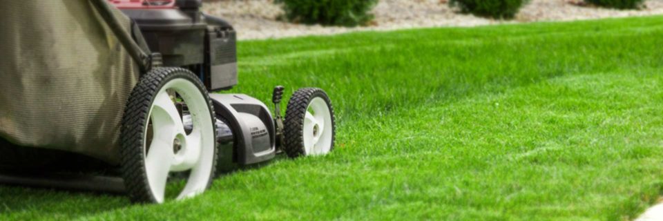 Exceptional Lawn Care Service in Northwest Arkansas  Call us at 479-228-1032