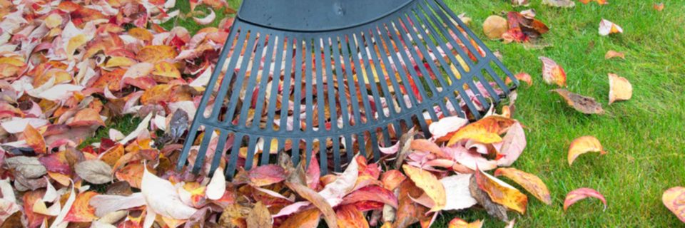 Leaf removal, yard waste removal and haul-away Call us at 479-373-0456

