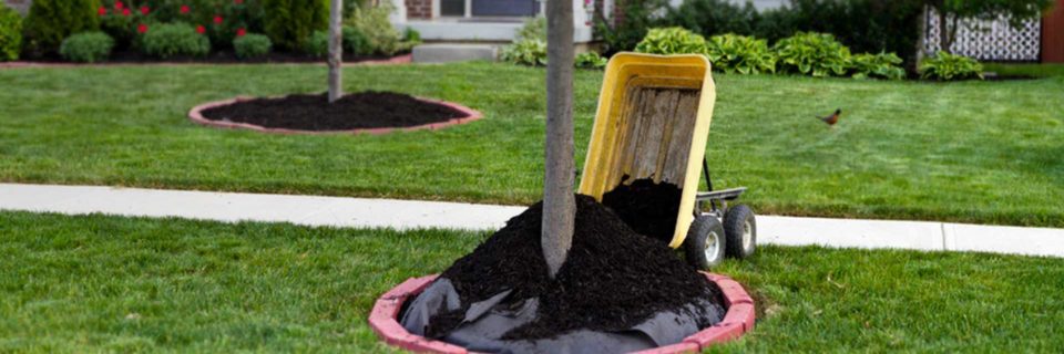 We provide mulching planting and more   Call us at 479-373-0456